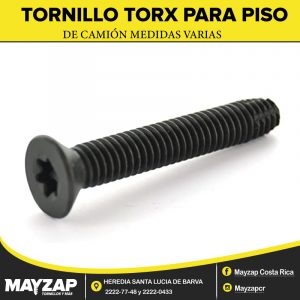 Tornillo Torx Para piso de Camión