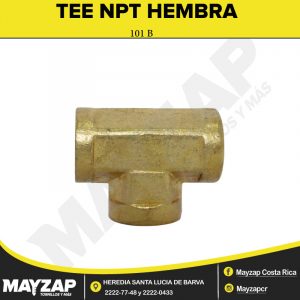 TEE-NPT-HEMBRA-101B