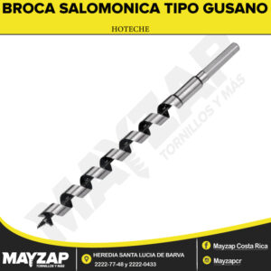 BROCA-SALOMONICA-TIPO-GUSANO-HOTECHE