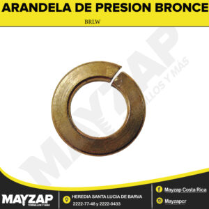 ARANDELA-DE-PRESION-DE-BRONCE-BRLW