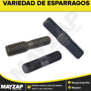 ESPARRAGOS
