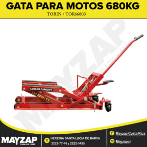 GATA-PARA-MOTO-TORIN-TOR66803