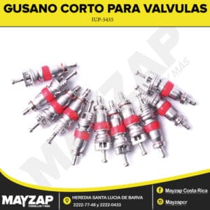 GUSANO-CORTO-PARA-VALVULAS-IUP-5435