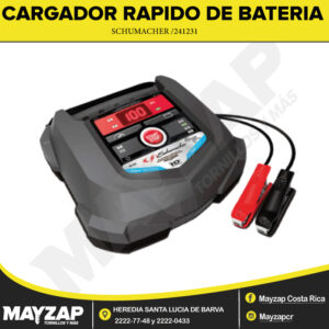 CARGADOR-RAPIDO-DE-BATERIAS-241231