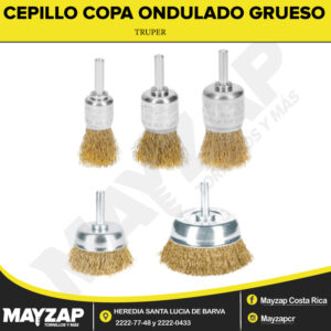 cepillo-catego