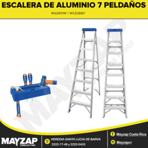ESCALERA-WADFOW-80000534