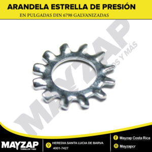 Arandelas Estrella de Presión Dentadas Externas Galvanizadas (DIN 6798) en Pulgadas